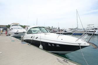 Searay305運動艇